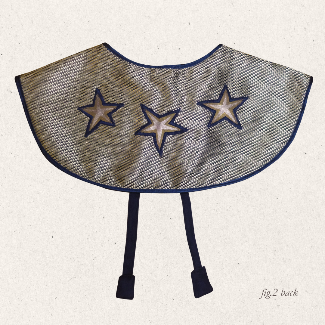Babydoll Collar - STARRY MIDNIGHT ✨